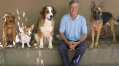 Aké plemeno psov vo filme dog life